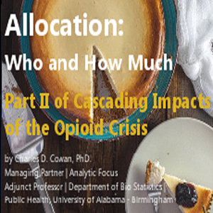 allocation white paper title page cover image