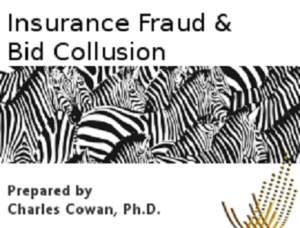 insurance Fraud and Bid Collusion Whitepaper cover image