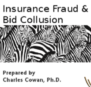 insurance fraud and bid collusion whitepaper image